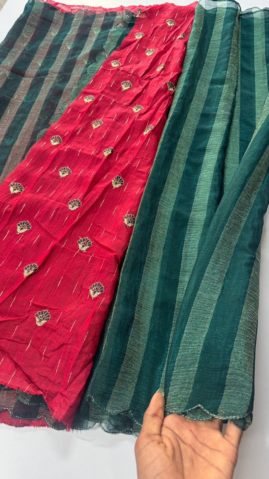 Tissue Saree – Elegant Beauty